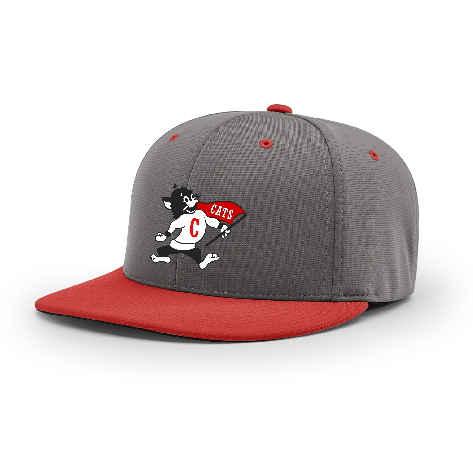 Central Elementary Wildcat Richardson PTS20 Cap