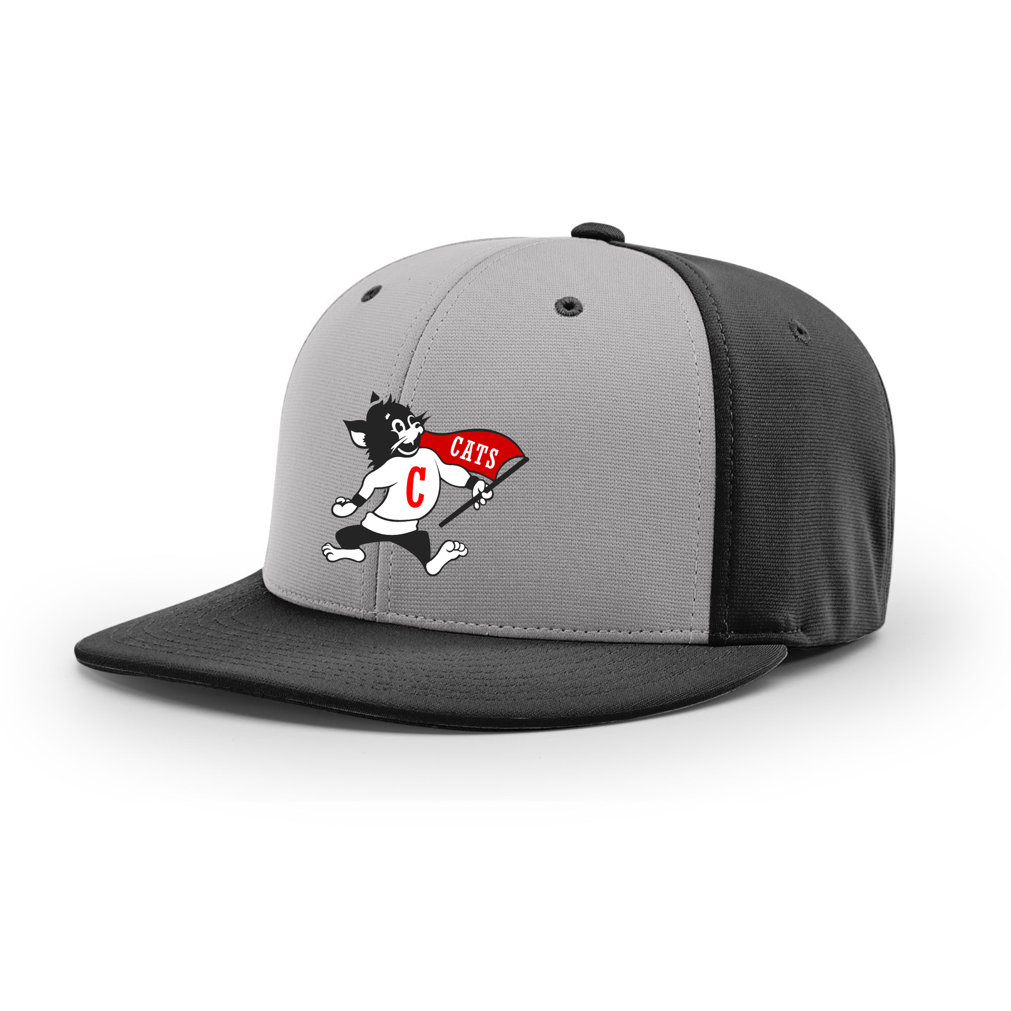 Central Elementary Wildcat Richardson PTS20 Cap